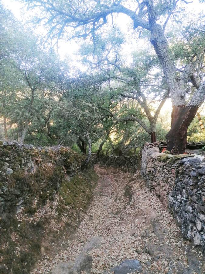 Casa Rural El Olivo Aracena Kültér fotó