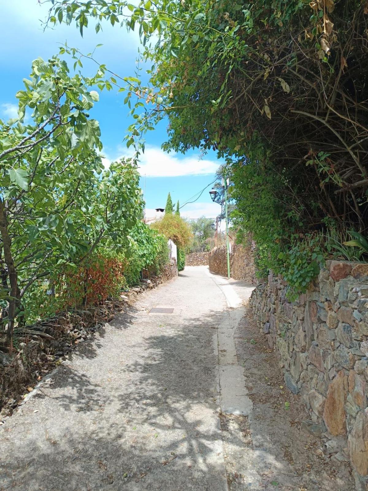 Casa Rural El Olivo Aracena Kültér fotó