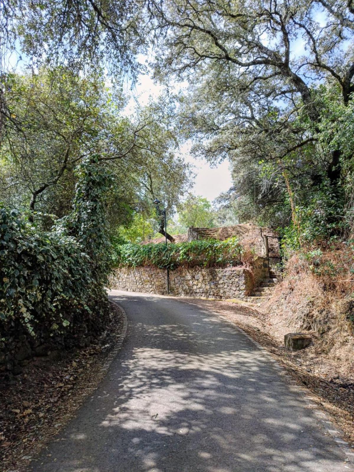 Casa Rural El Olivo Aracena Kültér fotó