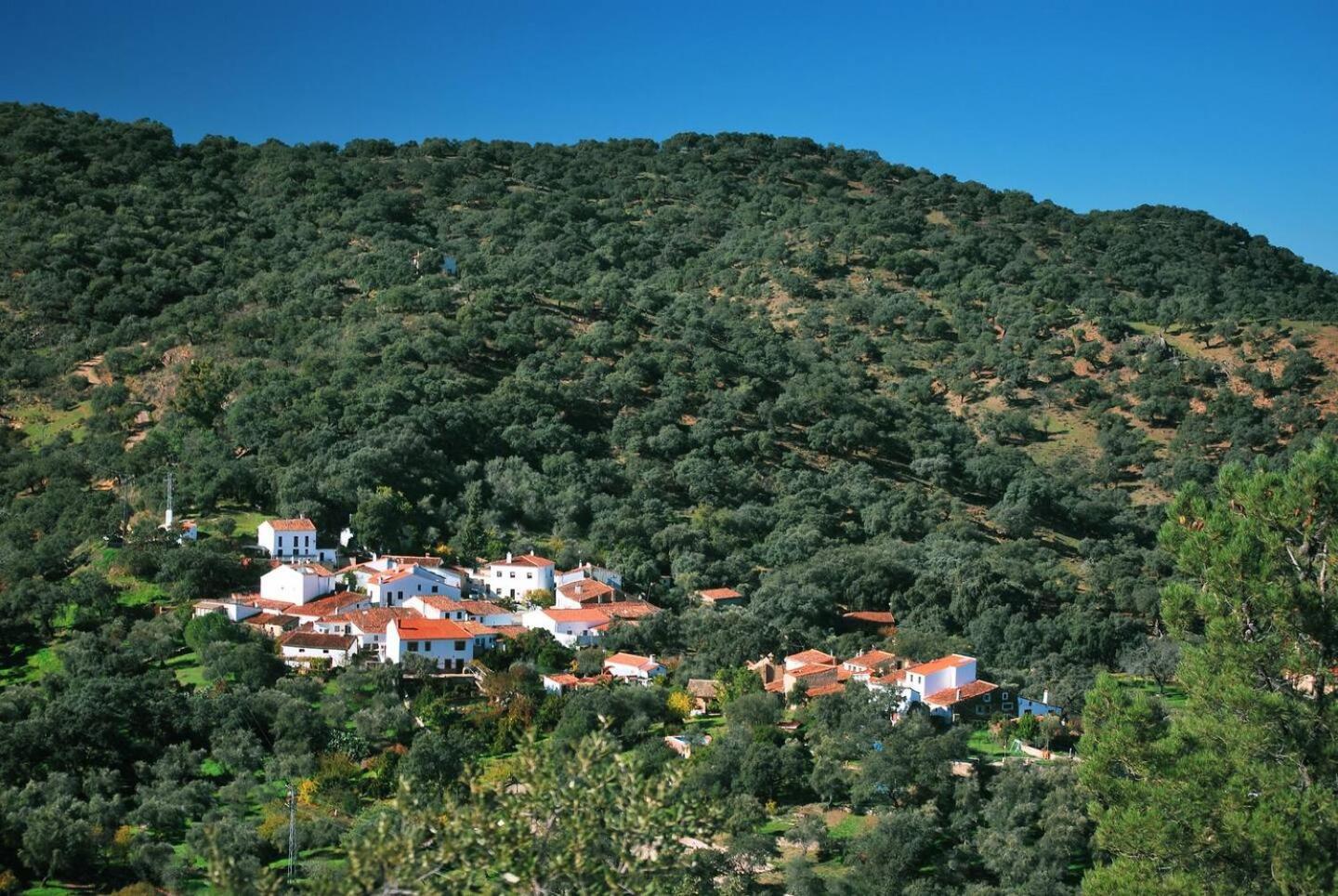 Casa Rural El Olivo Aracena Kültér fotó